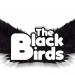 The Black Birds