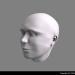 Human Head Organic Modelling
