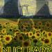 Nuclear risks