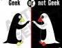 Geek or not geek?