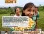 "Guatemala à la reherche de sa dignité"