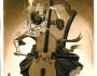 Violoncelle classique Aristo brou de noix